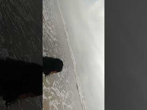 #beachvibes #beachlife #beachday