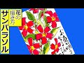 サンパラソルの描き方│ガーデニングの絵手紙スケッチ│5月・6月・7月・8月・9月・10月・夏・秋