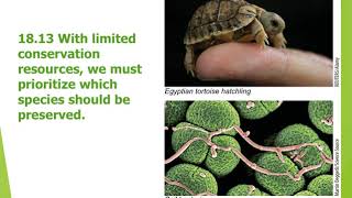 Conservation and Biodiversity Chapter 18 part 3