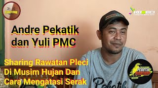 Rawatan Pleci di Musim Hujan dan Cara Sengatasi Gejala Serak, Andre Pekatik dan Yuli PMC