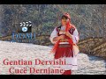 Gentian Dervishi - Cucë Dernjane (Official Video 4K)