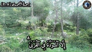 (اللَّهُ الَّذِي أَنْزَلَ الْكِتَابَ بِالْحَقِّ وَالْمِيزَانَ ۗ ) تلاوة رائعة من سورة الشورى