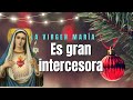 🌿 Dulce corazón de María, sed la salvación  del alma mía.