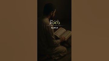 تلاوة خاشعة- #ياسر_الدوسري #الله #المصحف #قرآن #اكسبلور #لايك #قران_كريم #راحة_نفسية #حالات_واتس