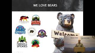 Bearwise in the Smokies | Virtual Wilderness Wildlife Wednesdays