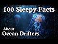 100 Sleepy Facts About Ocean Drifters to Fall Asleep To