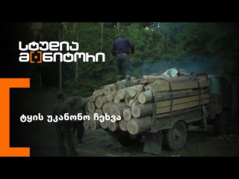 ვიდეო: ტყის გაჩეხვის მიზეზებზე?