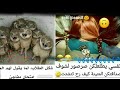 تحدي الملل الصداقه ترى اهم شي اضحك من قلبك 12