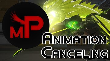 Animation Canceling