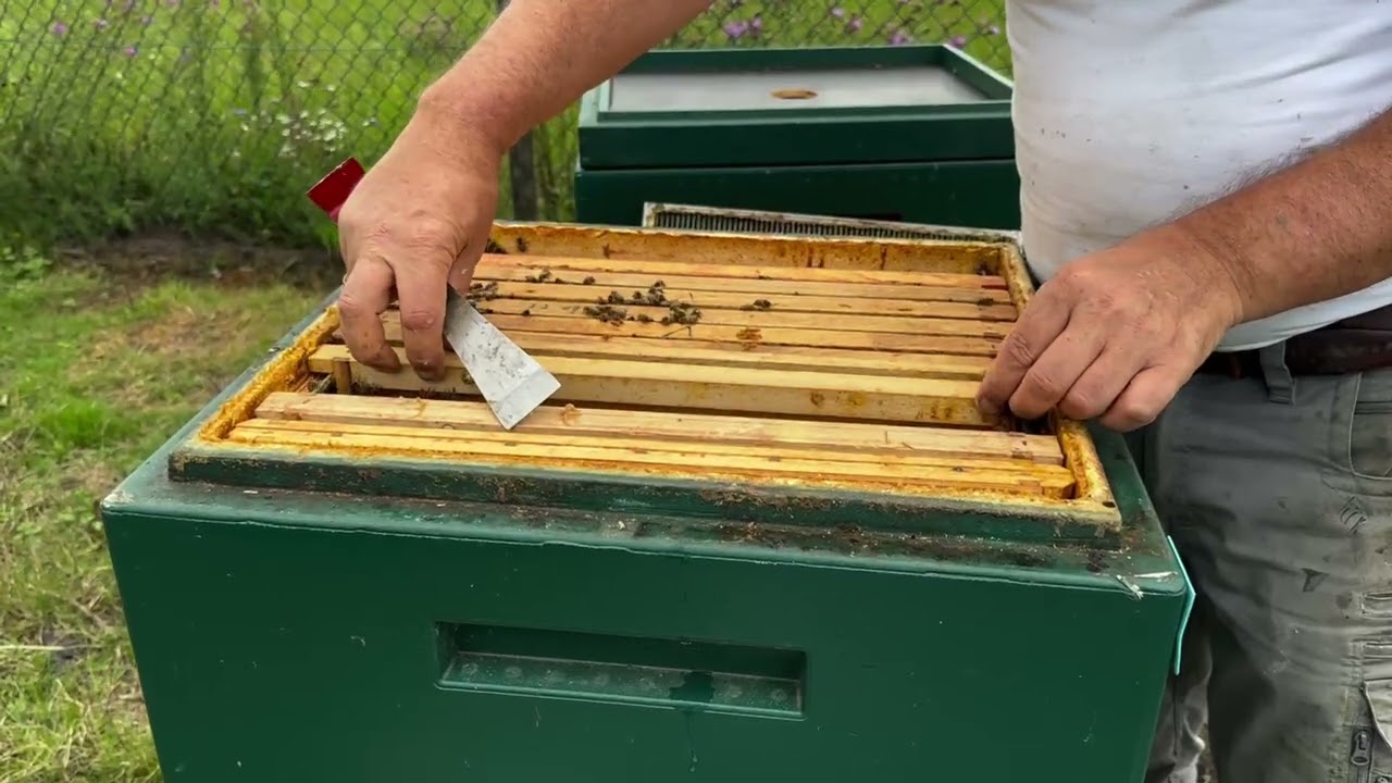 Jong volk voorbereiden voor de winter