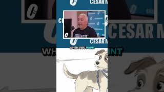 Why Your Dog Understands You Better..