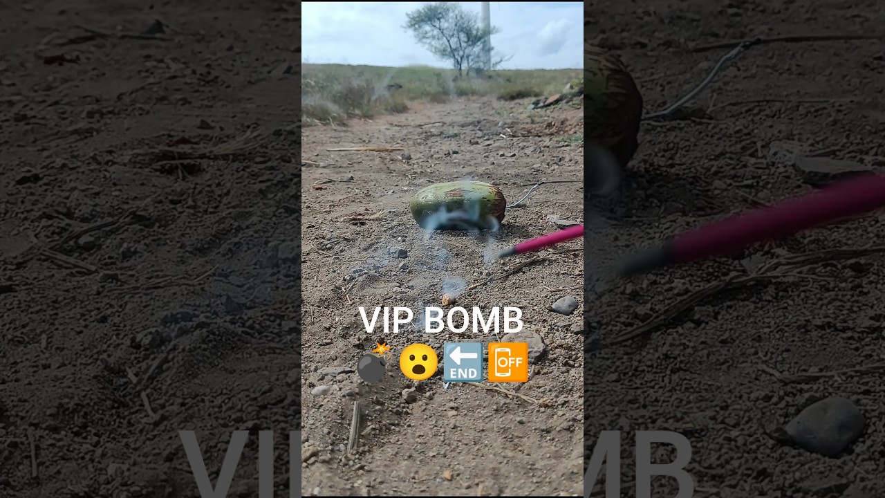 World's biggest sutli bomb 💣  