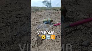 World's biggest sutli bomb 💣  #shorts​ #experiment​