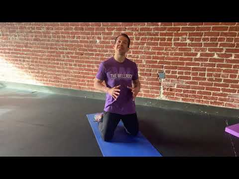 Plank Squeeze - Isometric Chest Squeeze
