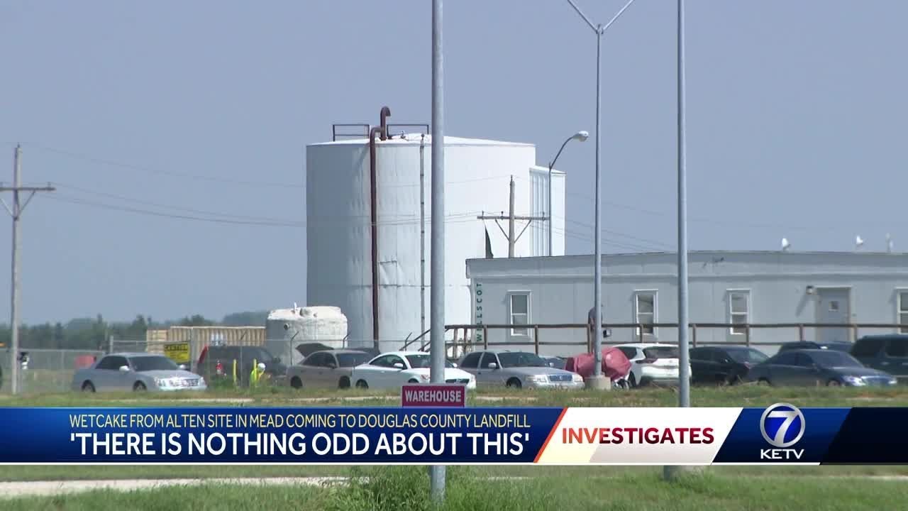 'There is nothing odd about this' Wetcake from alt en site in mead