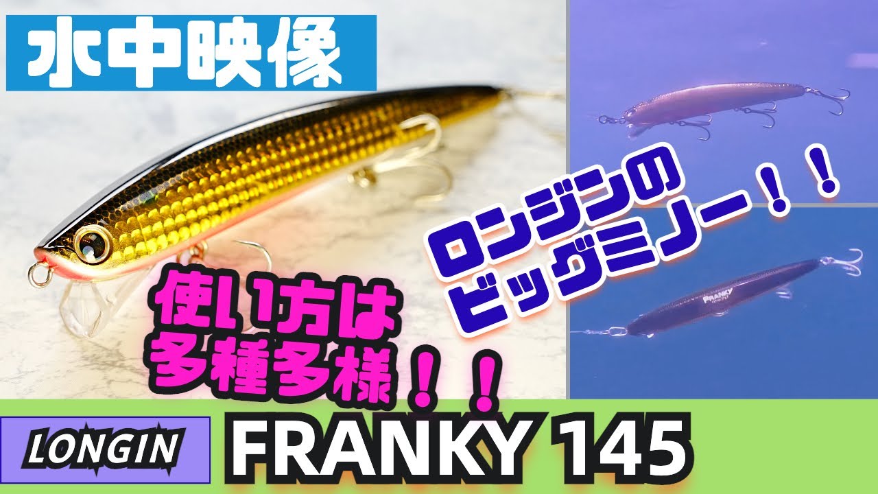 【水中映像】フランキー145のスイムアクションを紹介します！【シーバス】 - YouTube