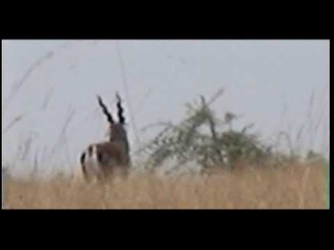 Tumkur District video