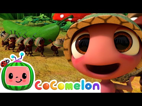 The Ants Go Marching | CoComelon | Sing Along | Nursery Rhymes and Songs for Kids