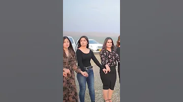 اغنيه شوفير القماره 