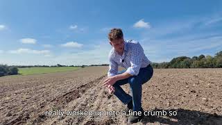 Winter Linseed Sowing Conditions