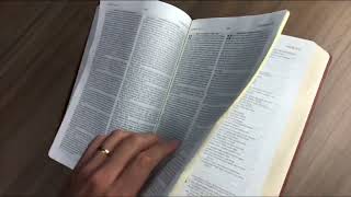 Bíblia NVI Bilíngue Português-Inglês - Capa luxo marrom screenshot 3