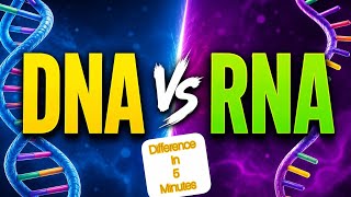 DNA vs RNA | Easy Biology | Comparison in table form DNA vs RNA | Easy Biology | Comparison in table form