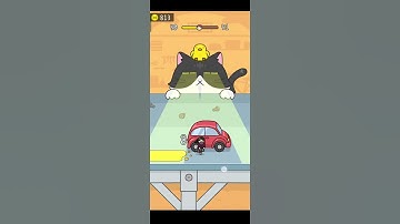 Hide and seek: cat escape #SHORTS #SHORT