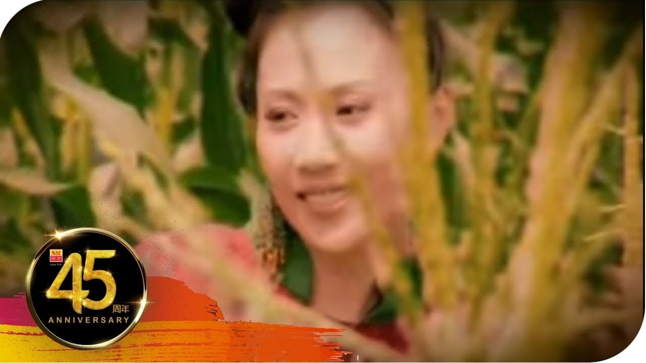 曾琳 ZENG LIN I 望一望 I OFFICIAL MUSIC VIDEO