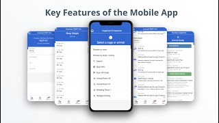 🔶 Mobile App for Digital Cage Cards screenshot 3