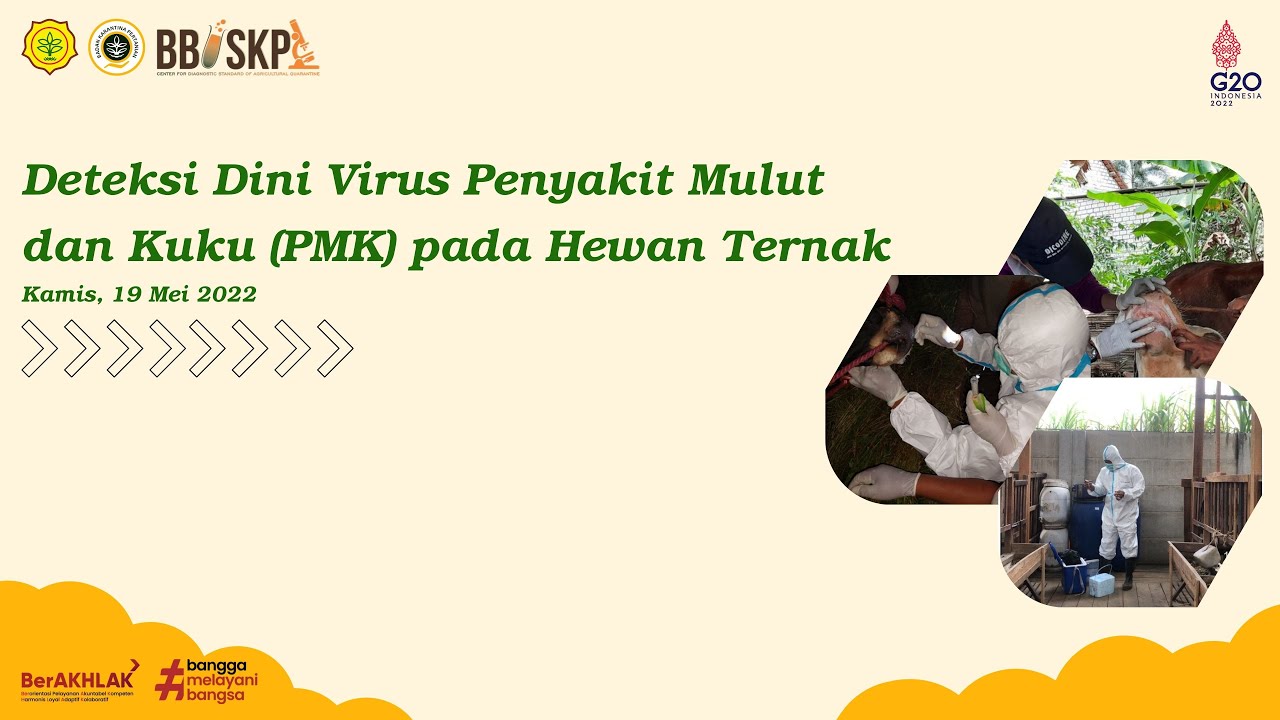 Webinar Series BBUSKP : Deteksi Dini Virus Penyakit Mulut dan Kuku pada Hewan Ternak
