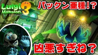 リンクさん専用 ルイージマンション3、あつ森、ヨッシークラフトワールド リンクさん専用 ルイージマンション3、あつ森、ヨッシークラフト