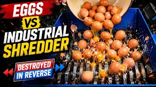 Eggs vs Industrial Shredder 🥚💥 | Destroyed in Reverse ◀️