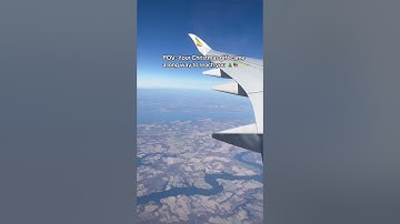 A Christmas Gift Worth the Journey 🎄✨