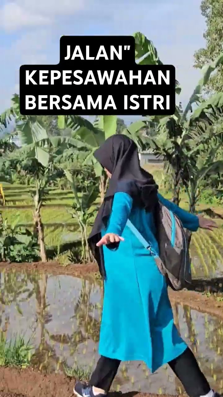 Jalan Kaki ke Pesawahan Bayongbong