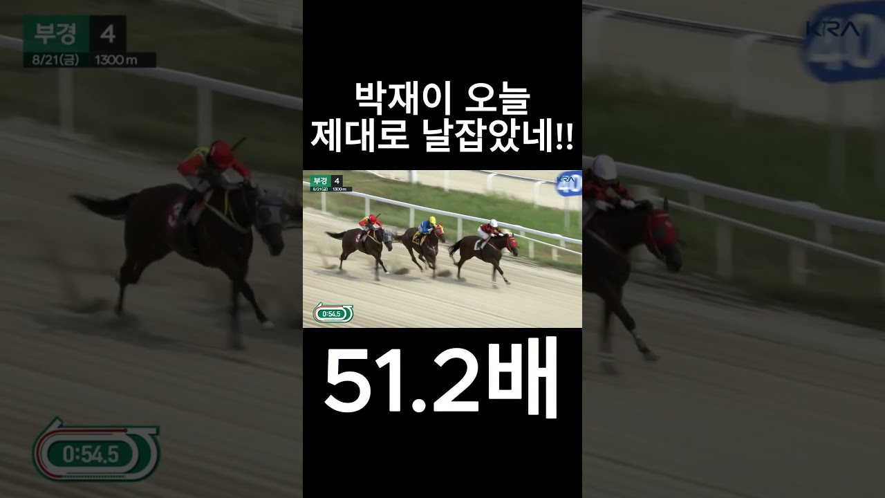 박재이 오늘 제대로 날잡았네   #경마  #경마예상  #경마방송  #경마예상방송  #서울경마  #금요경마  #토요경마  #일요경마 #경마장