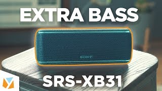 sony extra bass speaker xb31