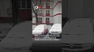 Ninge Ca În Povești În Mai Multe Zone Din Țară S-A Depus Deja Strat De Zăpadă