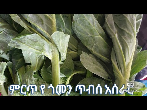 ቪዲዮ: ፈጣን የተቀዳ ጎመን እንዴት እንደሚሰራ