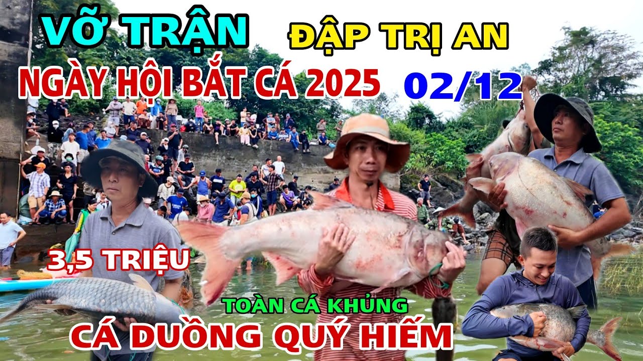 VỠ TRẬN ĐẬP THỦY ĐIỆN TRỊ AN TRONG NGÀY HỘI BẮT CÁ 2025 TOÀN CÁ KHỦNG ĐÔNG CHƯA TỪNG THẤY .