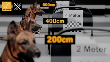 REtracker FIZZ/BLISS Tutorial (Part 3)