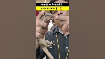 Is monitor lizard dangerous or not? || #hindifacts #newfacts #viral #viralshorts #goyra #facts #new