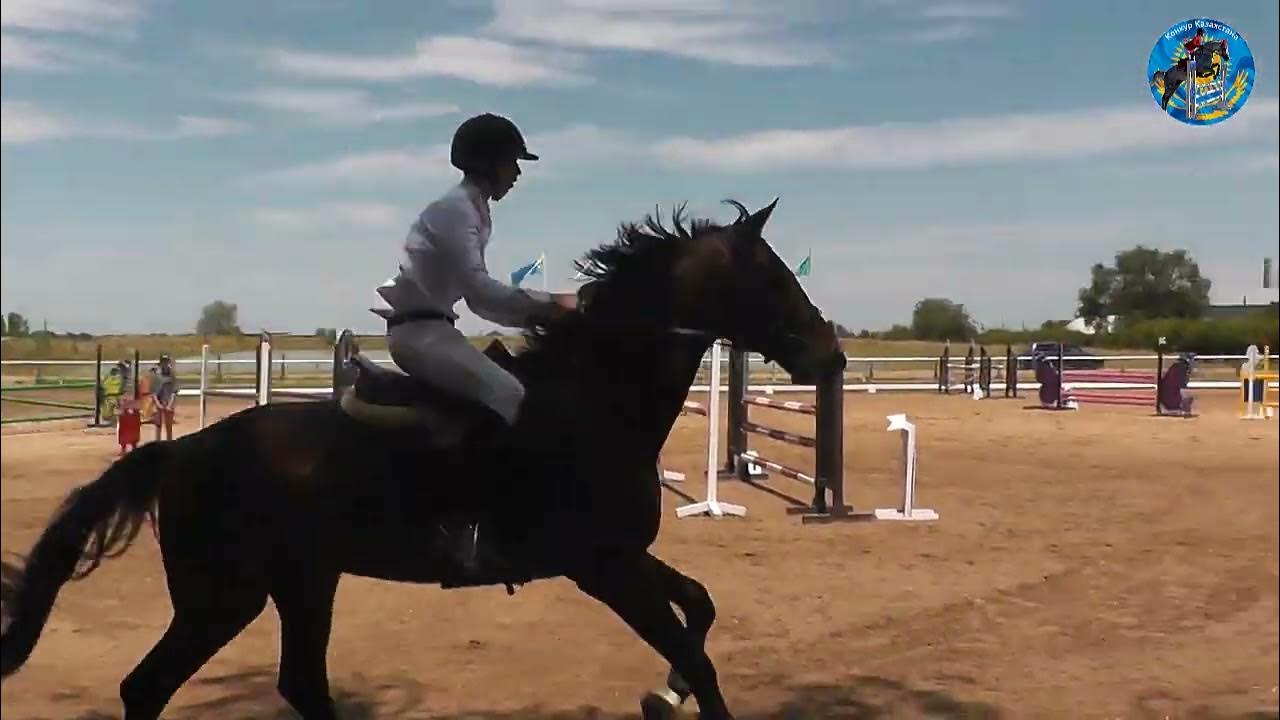 Кск конкорд. Кск алматы. Кск алматы. Лошадиный праздник. Соревнования в кск конкорд старты по конкуру 25.