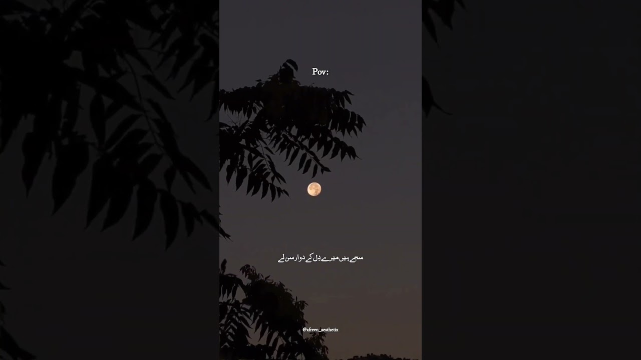 Ek Danta Ganesha Stutus 1tranding Whatsappstatus Shortvideo Newstatus Top1 Ganeshchaturthi - Hindi Status Tube