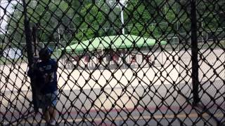 Kissinger's Traveling Advantages (Season 3)- Mini Golf & Softball in Columbus, Ohio