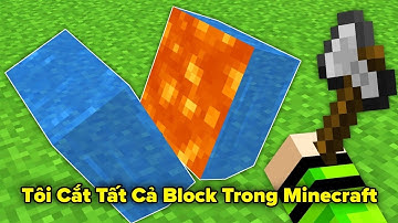 Tôi Có Thể MỞ MỌI LOẠI BLOCK Trong Minecraft Và Nó Rất Điên Rồ