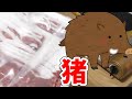 収益化記念に人生初の猪肉を喰ったらウマすぎてトビました。