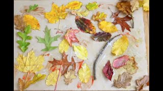 Process Art Fall Activity by Hayley Scott