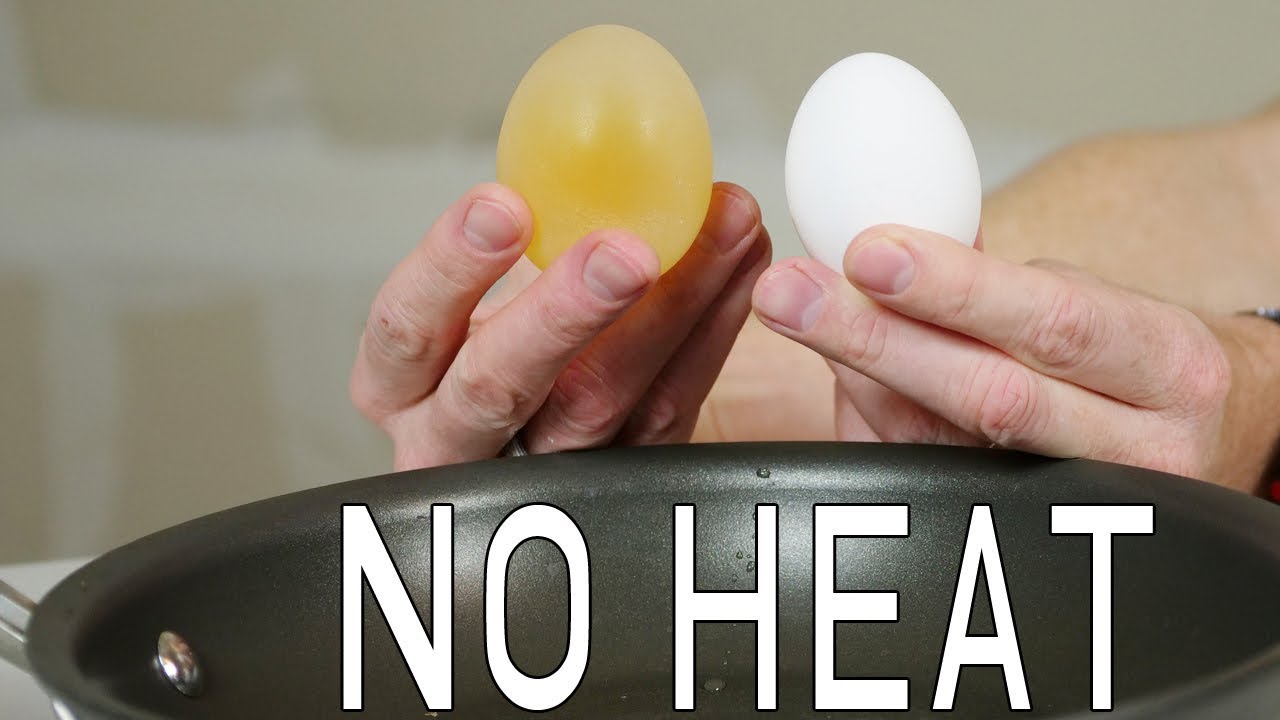 How To Boil an EGG without HEAT! Best Science Experiments and Hacks for
