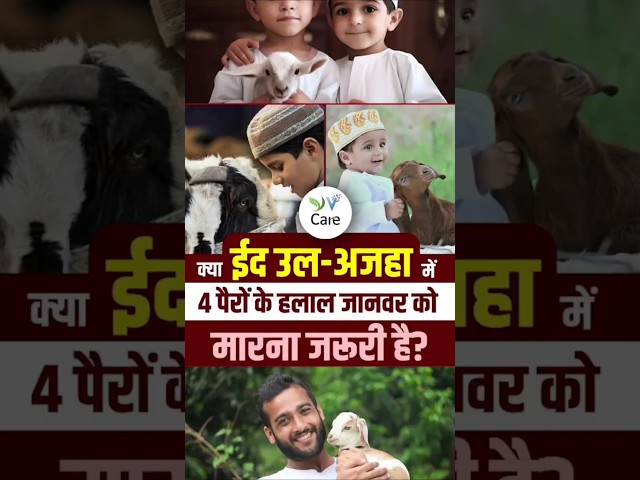 क्या ईद-उल-अज़हा पर चार पैर वाले हलाल जानवर की क़ुर्बानी देना अनिवार्य है?