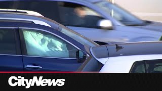 One injured in multi-vehicle collision on Calgary s John Laurie Blvd